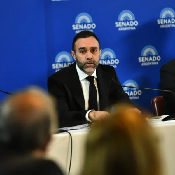 Senado: el Gobierno no incorporó al dictamen del Presupuesto el capítulo que fue eliminado en Diputados