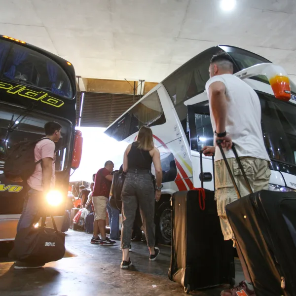 Autorizan a micros y trenes de larga distancia a trasladar mascotas