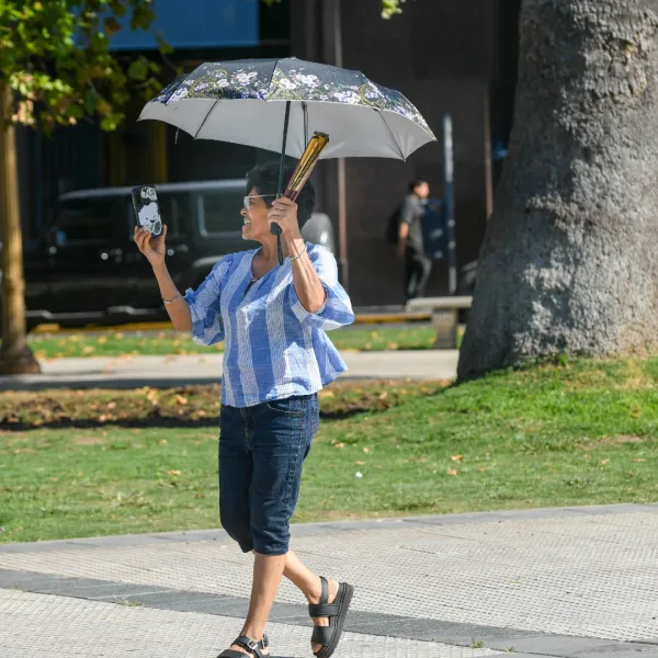 Alerta por ola de calor en Buenos Aires: recomendaciones y precauciones