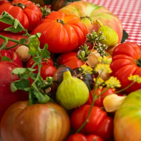 Mendoza será la sede del cuarto Festival del Tomate