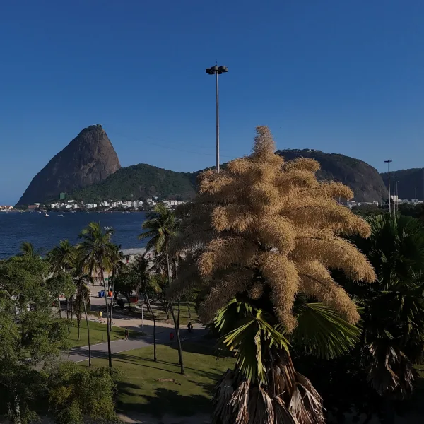 ¿Cuáles fueron los destinos más googleados por los argentinos en 2025?