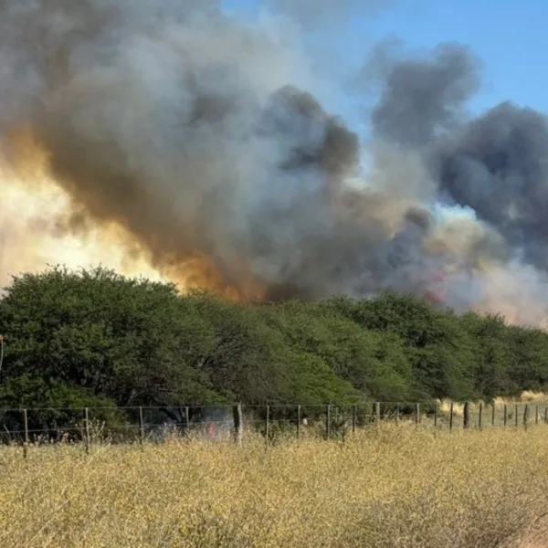 Incendios forestales: continúan activos focos en distintos puntos de La Pampa