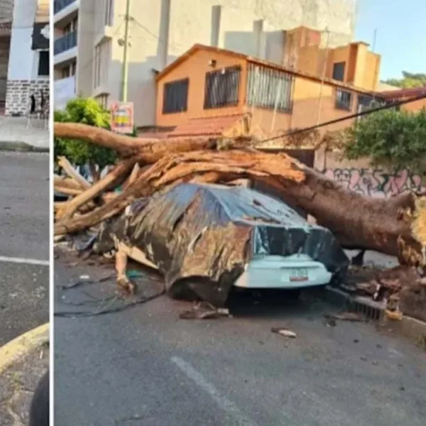 Un sismo de magnitud 6,5 sacudió el centro y sur de México 