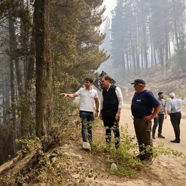 El gobernador de Chubut confirmó la intencionalidad de los incendios