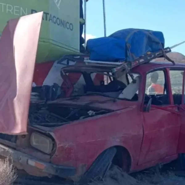 El Tren Patagónico chocó contra un auto pero sus ocupantes se salvaron de milagro