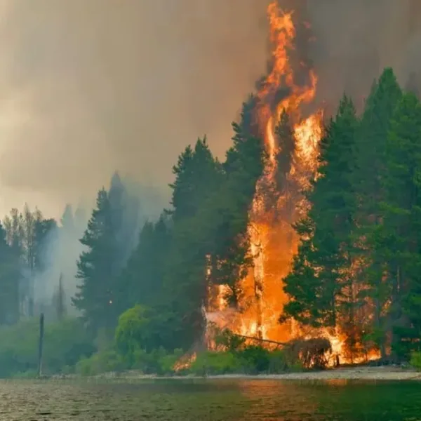 El incendio en Puerto Patriada sigue activo y ya arrasó con casi 12.000 hectáreas en Chubut
