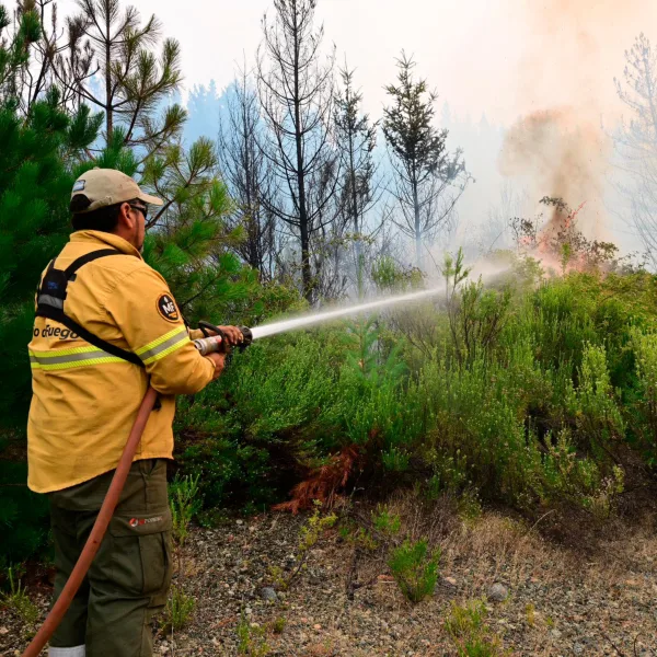 Chubut: informan que "22 de los 32 incendios se encuentran completamente extinguidos"