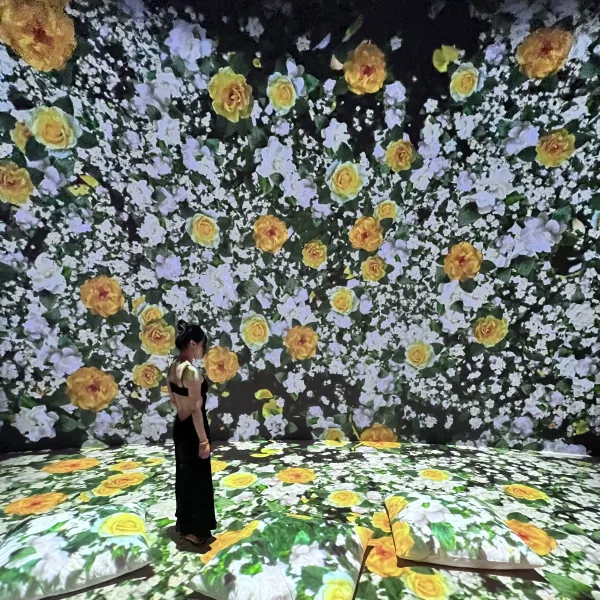 "Monet inmersivo": se extiende la muestra en el Teatro Colón