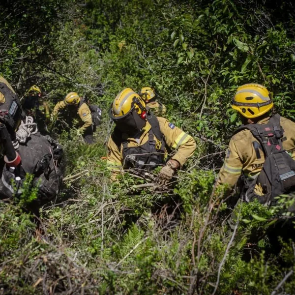 Incendios en la Patagonia: Luque pidió declarar la emergencia y criticó la falta de respuesta del Gobierno
