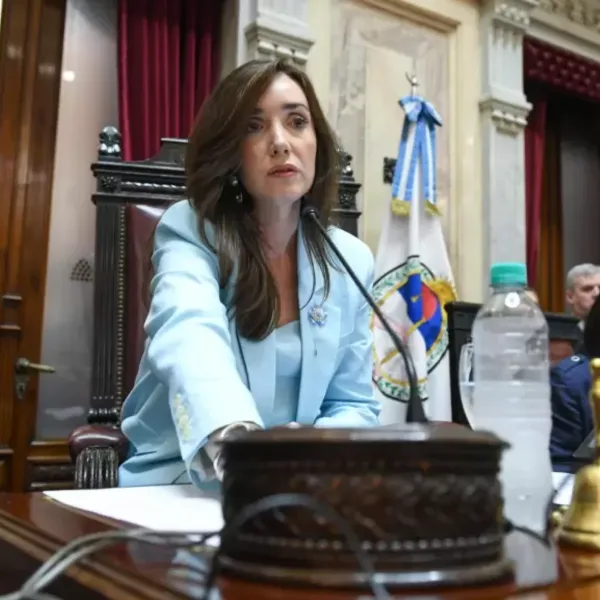 En medio de los incendios | Victoria Villarruel viajó al sur y volvió a diferenciarse de Milei