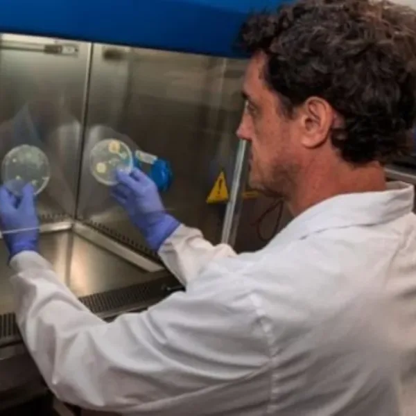 Científicos argentinos proponen combinar cannabidiol con colistina para combatir bacterias multirresistentes