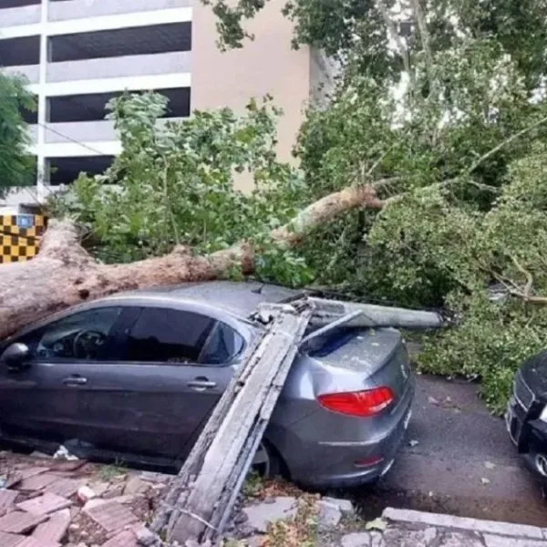 Un fuerte temporal azotó Mar del Plata, con ráfagas de hasta 70 km/h, destrozos y un herido leve