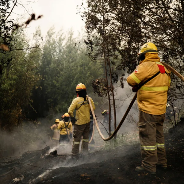 Incendios en Chile: autoridades confirman hasta 19 víctimas fatales en Ñuble y Biobío