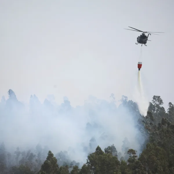 El Gobierno ofreció asistencia a Chile ante los incendios forestales