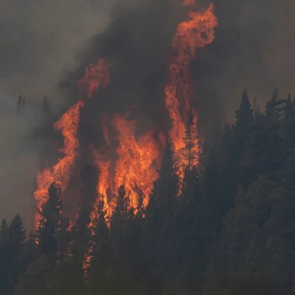 Se reavivaron los incendios en Chubut por las altas temperaturas y las ráfagas de viento