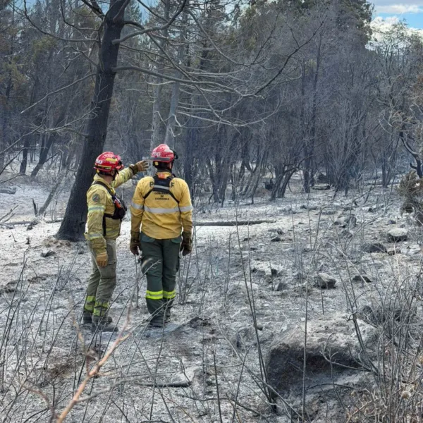 El Gobierno intervino el Parque Nacional Los Alerces mientras se combaten los focos activos 