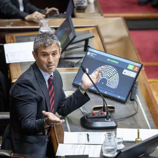 "No hay medias tintas", Martín Menem ratificó que el Gobierno bajará la edad de imputabilidad