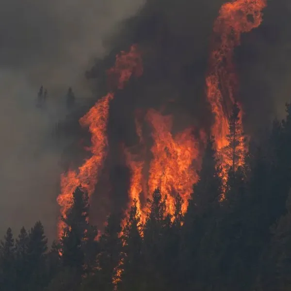 Se reactivaron los incendios en la Patagonia: en Chubut ya se quemaron más de 22.000 hectáreas