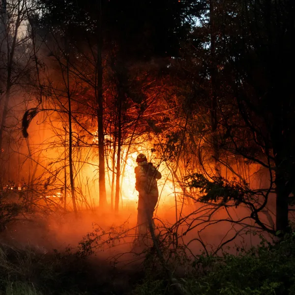 Incendios en la Patagonia: gobernadores vuelven a reclamar por una ley de Emergencia Ígnea