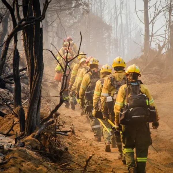 Incendio en Los Alerces: Investigan la responsabilidad penal de funcionarios