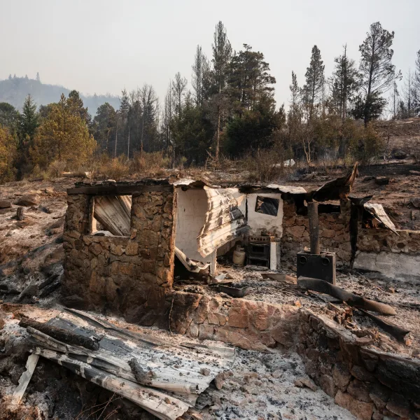 Incendios en la Patagonia: el Gobierno definió una nueva prórroga de la Emergencia Ígnea