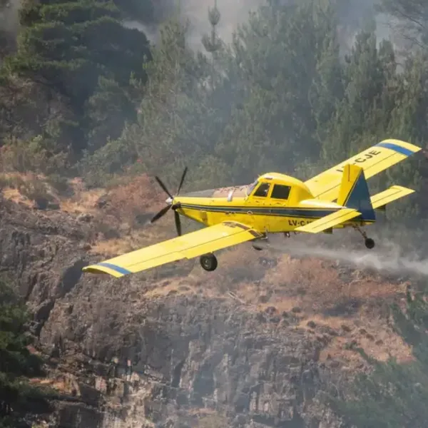 El Gobierno declaró la emergencia ígnea por los incendios en la Patagonia