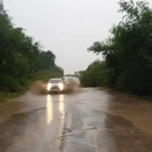 Temporal en Salta: inundaciones, calles anegadas y más de 200 evacuados