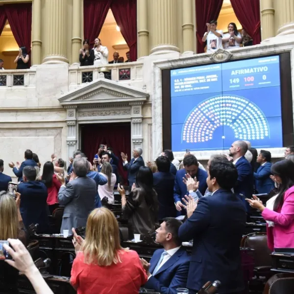 La Cámara de Diputados dio media sanción a la reducción de la edad de imputabilidad