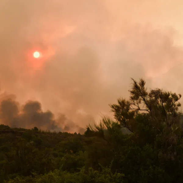 Incendios en Chubut: mejora el panorama en Los Alerces y Puerto Patriada tras las precipitaciones