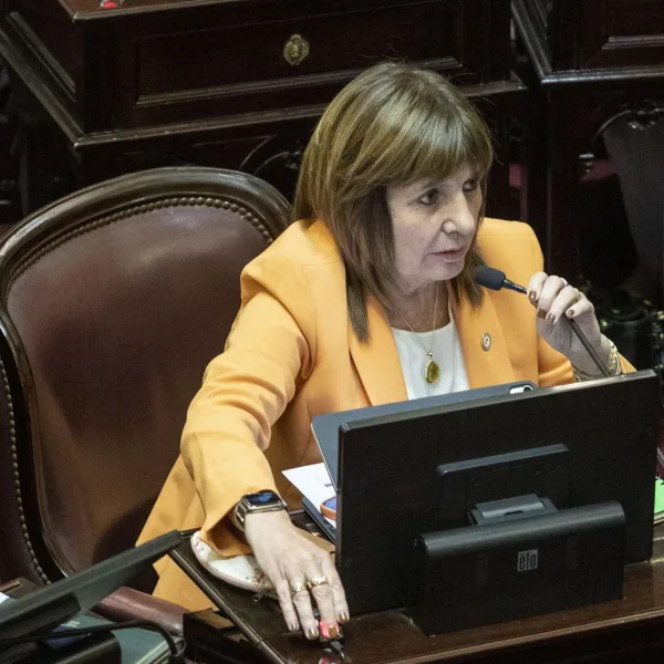 Patricia Bullrich criticó la declaración del Senado por el 24 de marzo: “Es sesgada y excluyente”