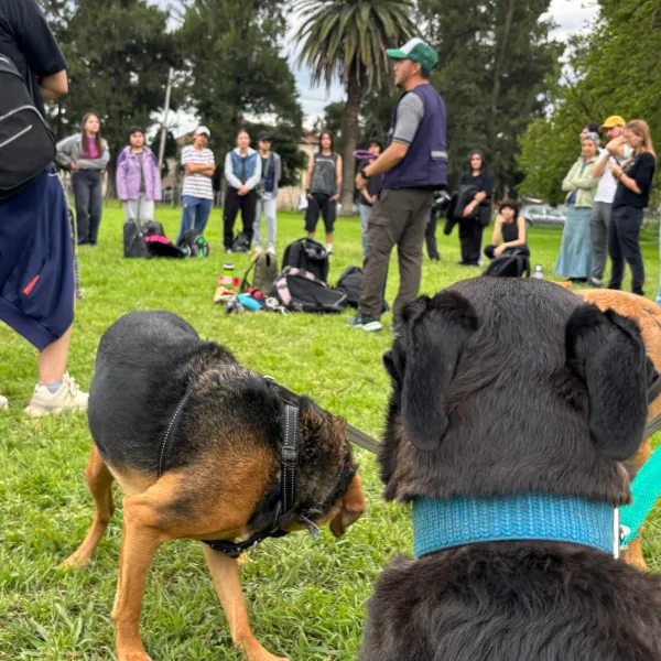 De la plaza a la Facultad: la UBA busca profesionalizar el oficio de paseador de perros