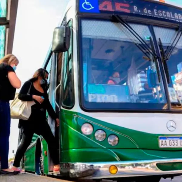 Colectivos: Qué líneas funcionan con servicio limitado y cuándo se reúnen las empresas con el Gobierno