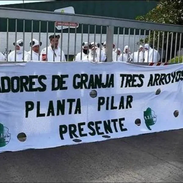 Crisis en Granja Tres Arroyos: suspenden a 200 trabajadores y profundizan el pago de salarios en cuotas