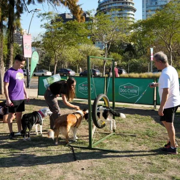 Día del Animal: una jornada para disfrutar en familia y  al aire libre