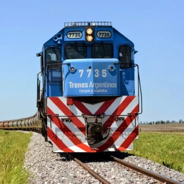 Privatización del Belgrano Cargas: el Gobierno define cómo se licitarán las vías y qué pasará con los fondos