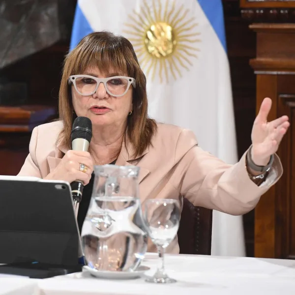 Tensión en el Senado: el Gobierno pone en juego su reforma electoral