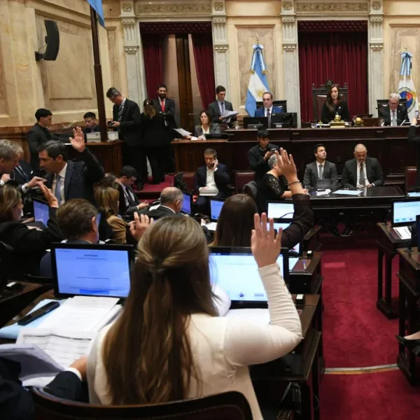 El Senado abrió una sesión clave por jueces, armas y la prórroga de Mahiques