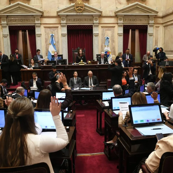 El Senado abrió una sesión clave por jueces, armas y la prórroga de Mahiques