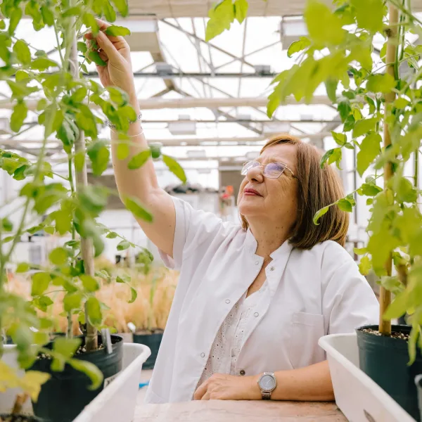Una científica argentina del CONICET gana el Premio Internacional 2026 "Por las Mujeres en la Ciencia" 