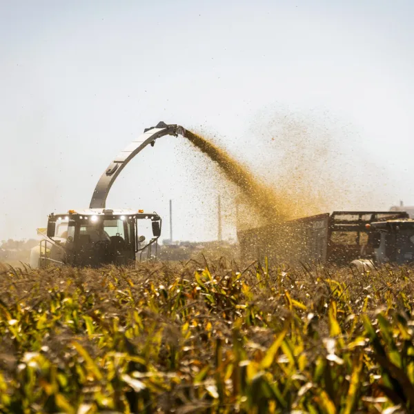 El sector agrícola logró una cosecha récord y superó las 163 millones de toneladas