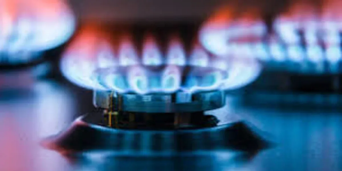 Zona fría: anticipan aumentos en las tarifas de gas y crece la ...