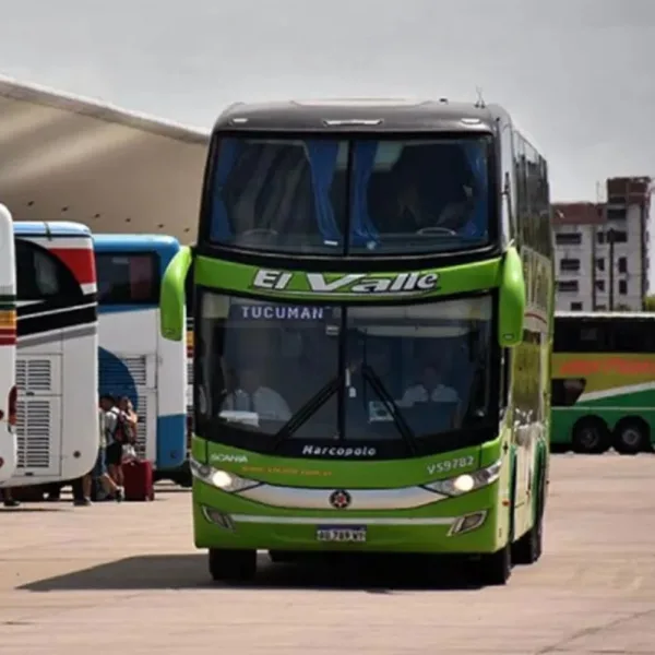 Motosierra a las prestaciones a discapacitados: el Gobierno eliminó subsidios para pasajes de micros de larga distancia