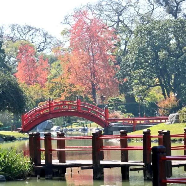 El Festival del Origami más importante de la Argentina llega al Jardín Japonés