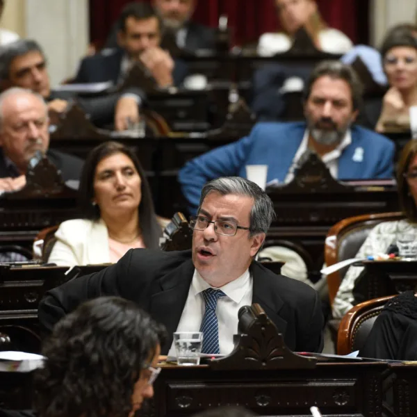 Legisladores de Unión por la Patria reclamaron por la liberación de Cristina Kirchner