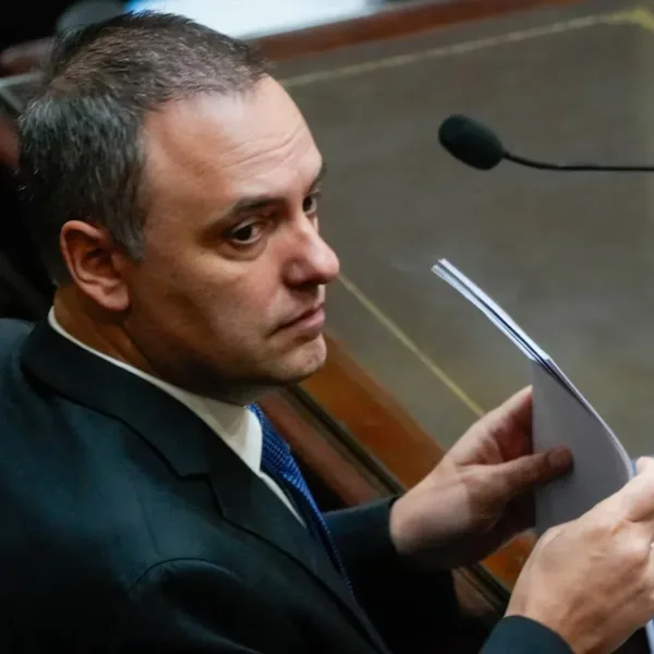Adorni y su esposa adhirieron al Régimen Simplificado de Ganancias