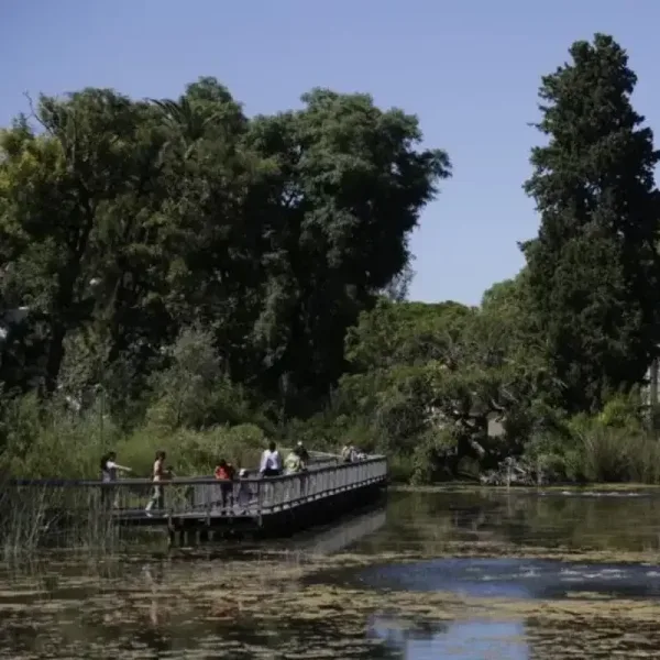 Ecoparque: comenzarán a cobrar el ingreso a todos los visitantes que no residan en CABA