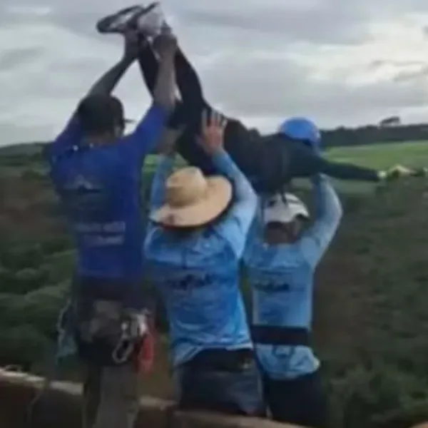 Brasil: una joven murió tras ser lanzada sin cuerda en un salto de bungee jumping
