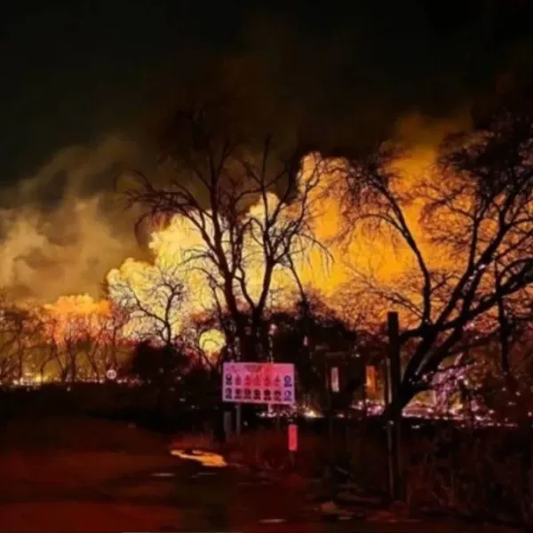 Incendios en Cafayate: el fuego ya arrasó más de 200 hectáreas y se complica con las ráfagas de viento Zonda