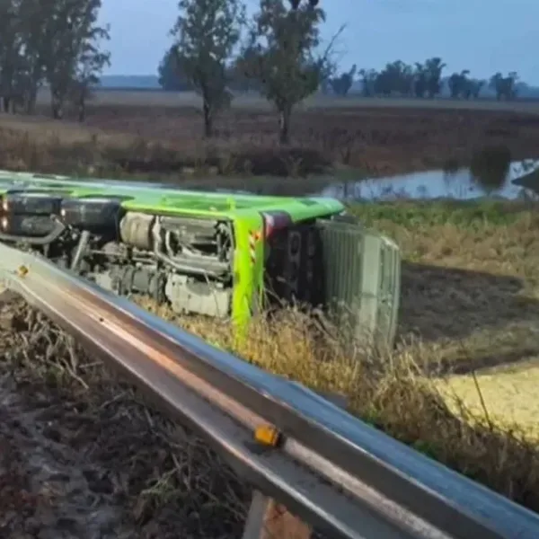 Un micro cayó desde un puente en Carmen de Areco: hay al menos cuatro heridos y un operativo de rescate