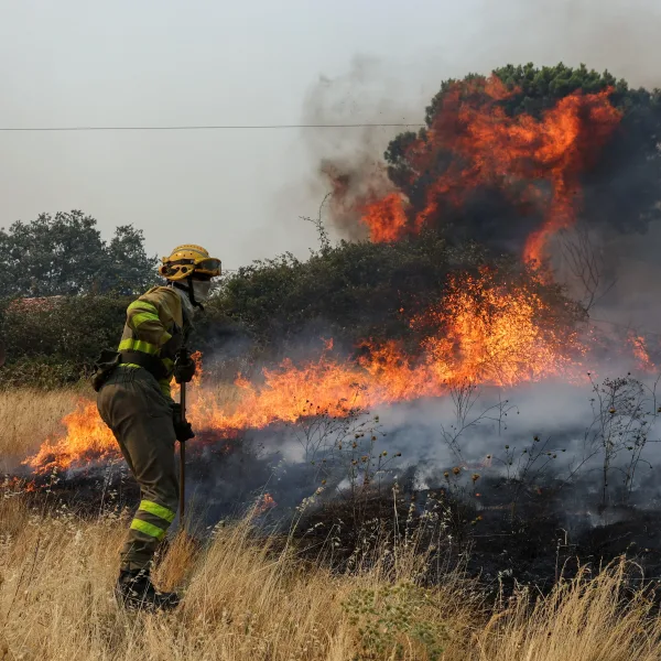 Incendios en el sur de Europa: miles de evacuados en España y Francia